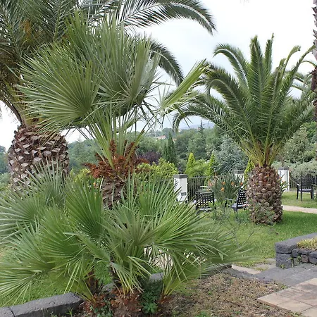 San Gerardo Piedimonte Etneo